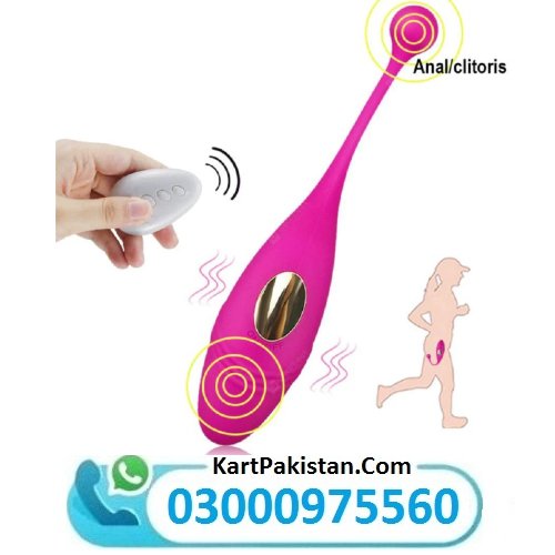 Wireless Fish Vibrator With Remote Control in Pakistan 