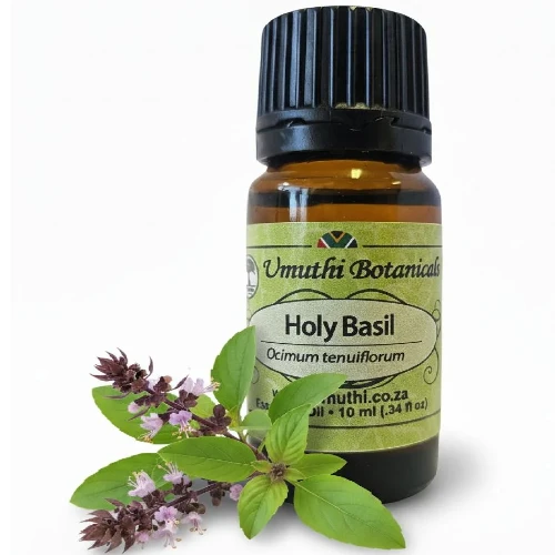 Holy Basil Breast Oil In Pakistan
