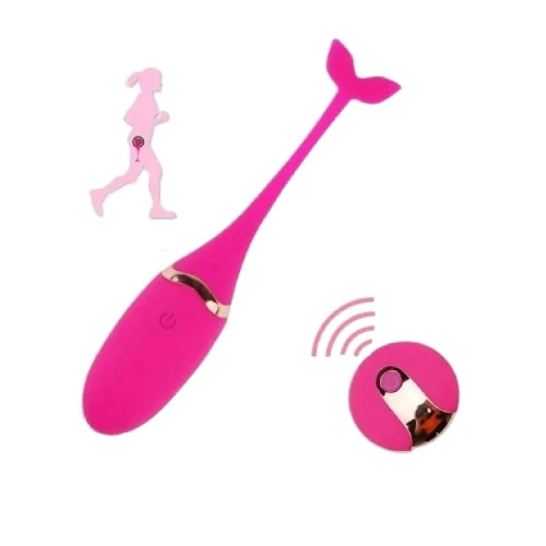 Wireless Fish Vibrator With Remote Control in Pakistan